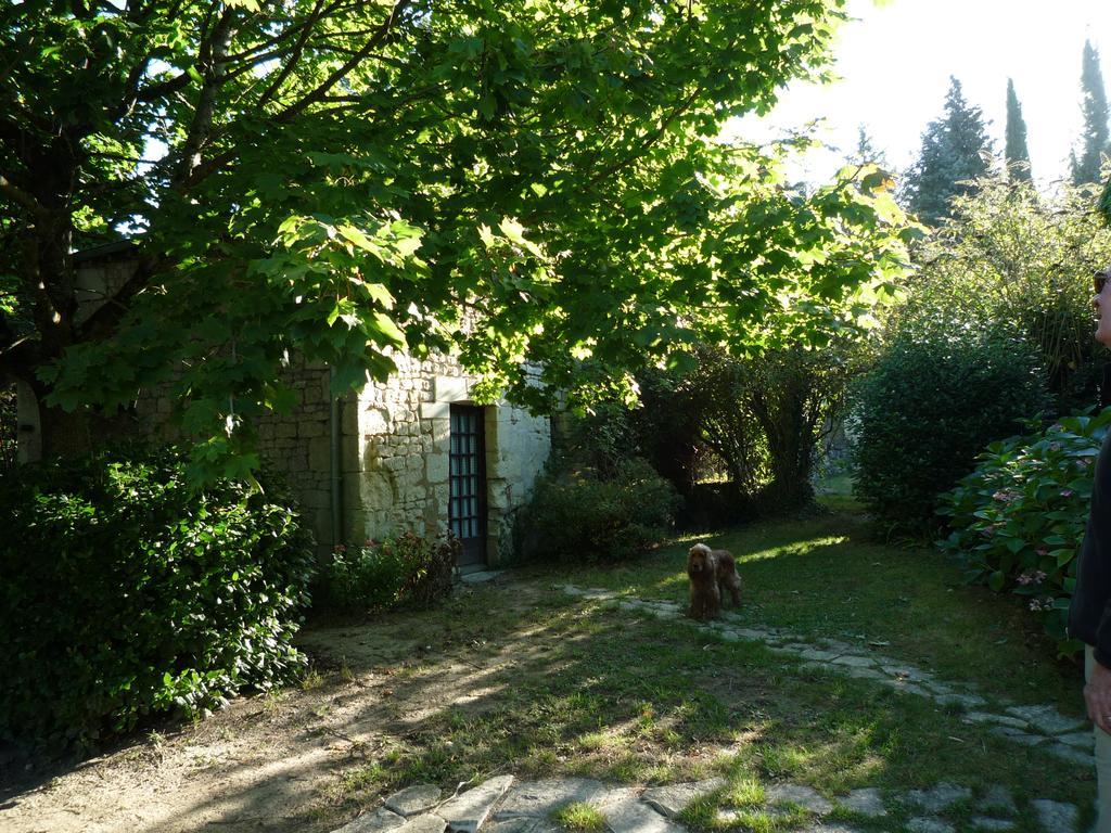 Le Logis Du Peu Girard Bed & Breakfast La Roche-Clermault Exterior photo