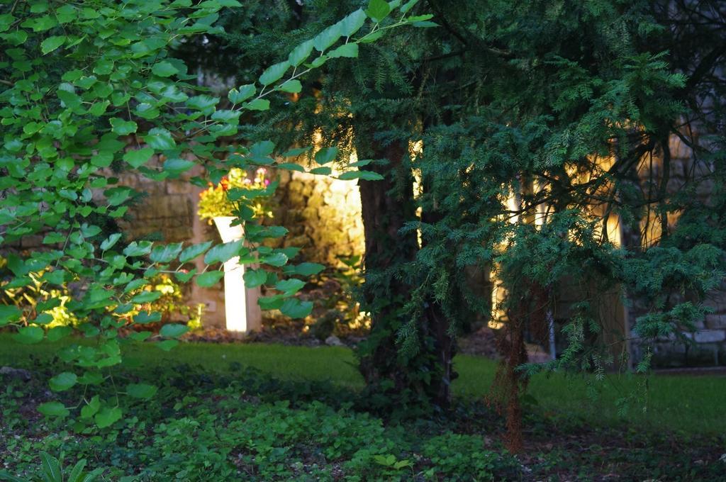Le Logis Du Peu Girard Bed & Breakfast La Roche-Clermault Exterior photo