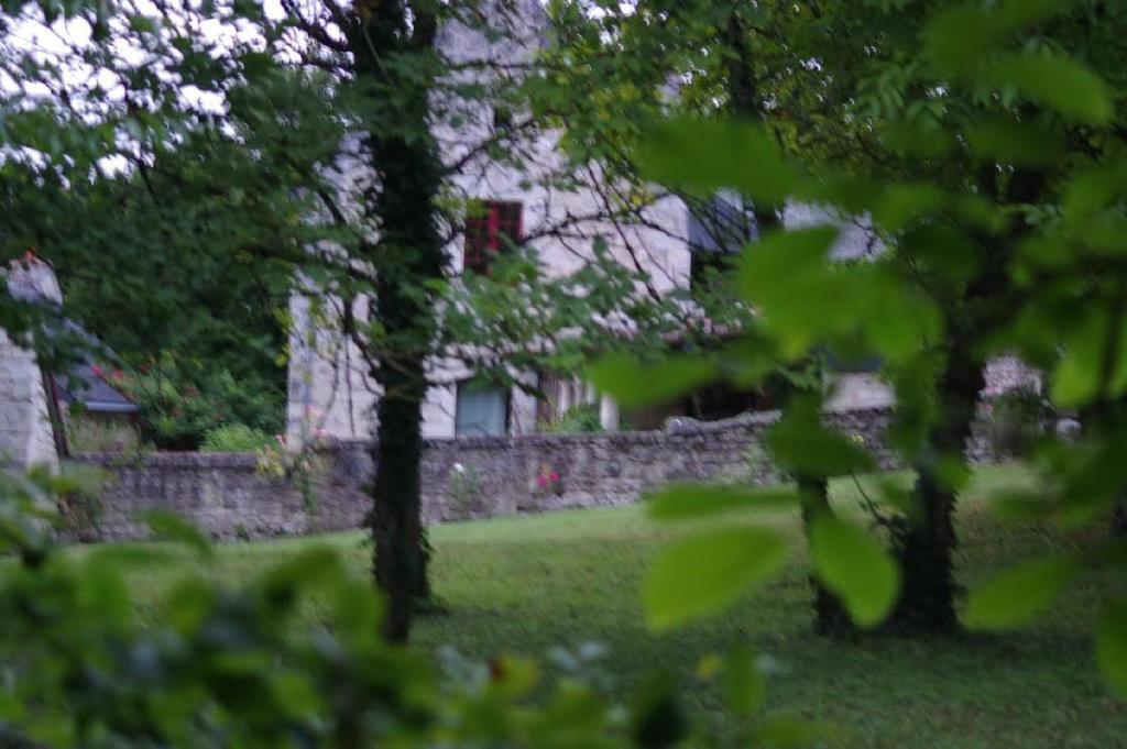 Le Logis Du Peu Girard Bed & Breakfast La Roche-Clermault Exterior photo
