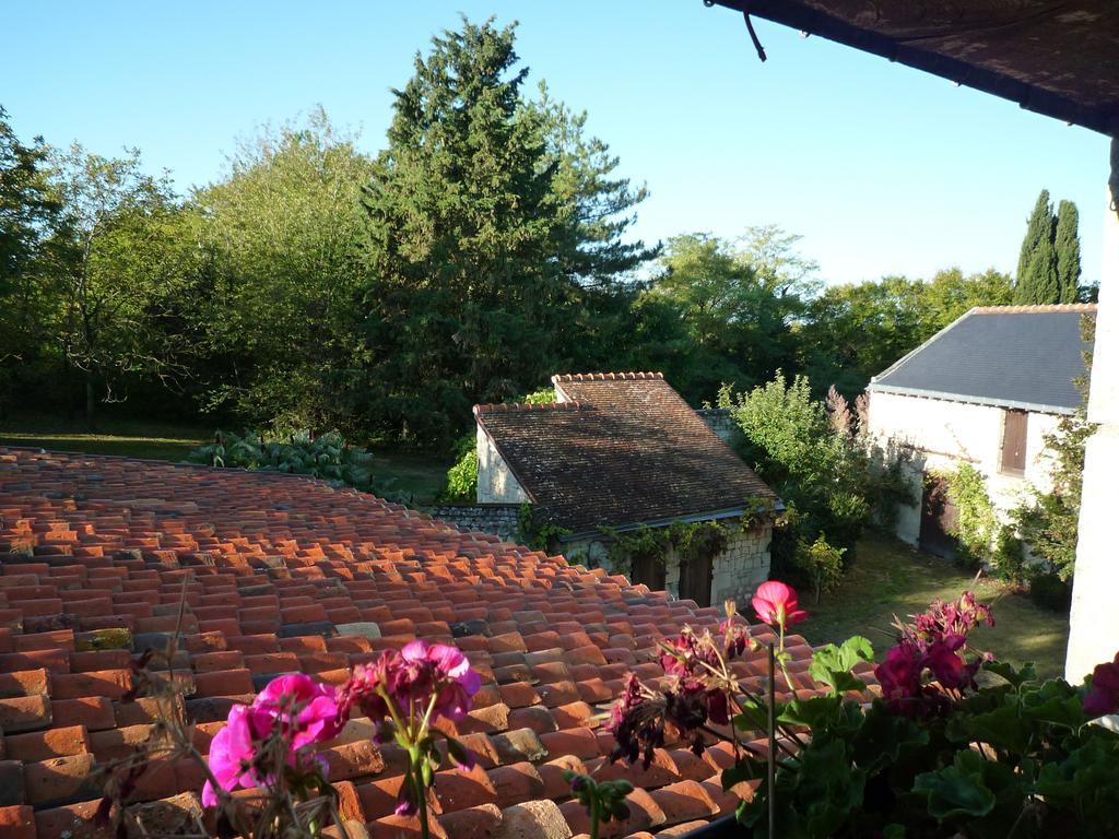 Le Logis Du Peu Girard Bed & Breakfast La Roche-Clermault Room photo